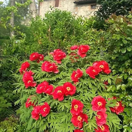 Bed and Breakfast & Breakfast Nel Borgo Scipione Salsomaggiore Terme